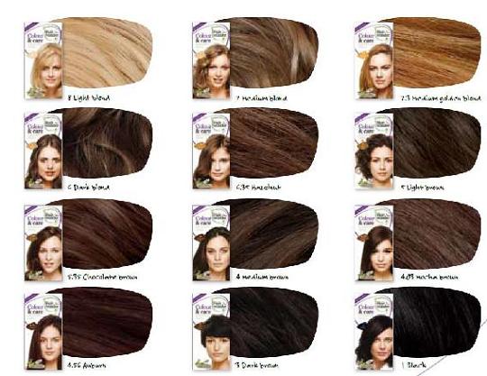 vzornik barev na vlasy hairwonder